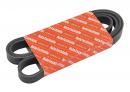 Ремень ручейковый 6 PK 1710 Peugeot Expert 9651764880