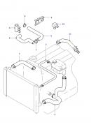 Патрубок радиатора Ford Transit 1C15-8B274-BF
