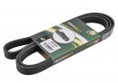 Ремень ручейковый 6 PK 1815 Fiat Doblo 55189680