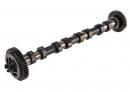 Распредвал впускной (2.3 biturbo M9T 702-) Nissan Interstar 130200296R