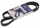 Ремень ручейковый 5 PK 1100 Fiat Ducato 500344281